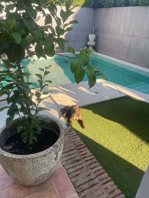 Atuaire Home Sevilla Mairena del Aljarafe Esterno foto