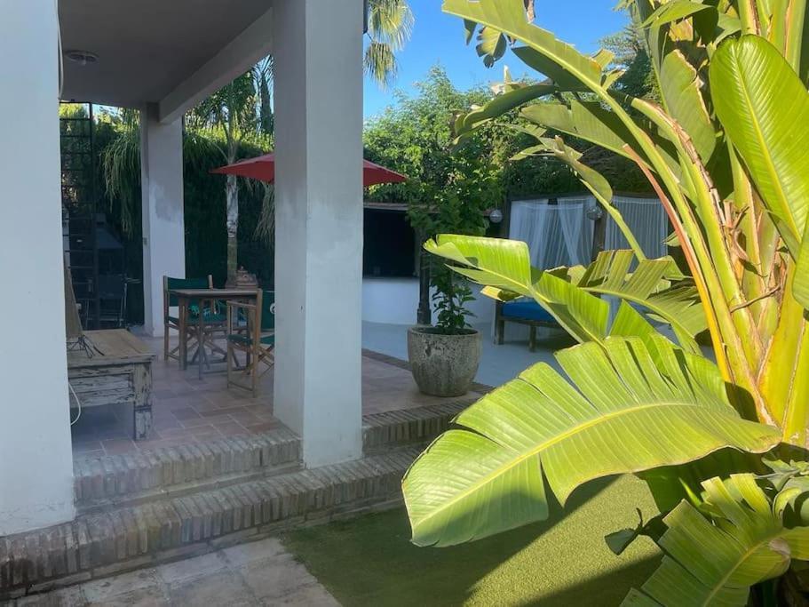 Atuaire Home Sevilla Mairena del Aljarafe Esterno foto